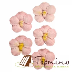 Шоколадний набір Тортіно "Орхідеї малі Рожеві"