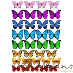 Вафельна пластина Метелики 5